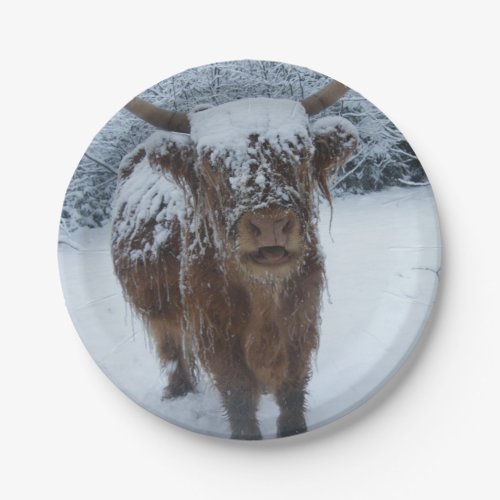 Snow Loving Highland Cow Paper Plates