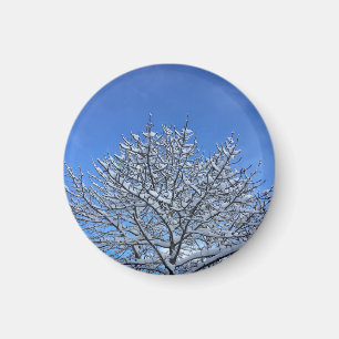 Snow Magnet