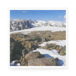 Snow Melting on the Rocky Mountains Napkins