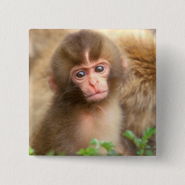 Snow Monkey Baby Portrait Button (Front)