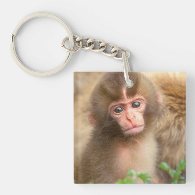 Snow Monkey Baby Portrait Keychain (Front)