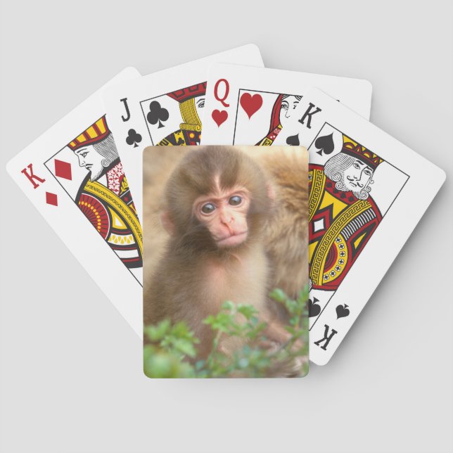 Snow Monkey Baby Portrait Poker Cards (Back)