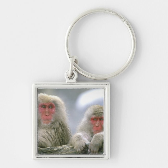 Snow Monkey Couple, Japanese Macaque, Keychain (Front)