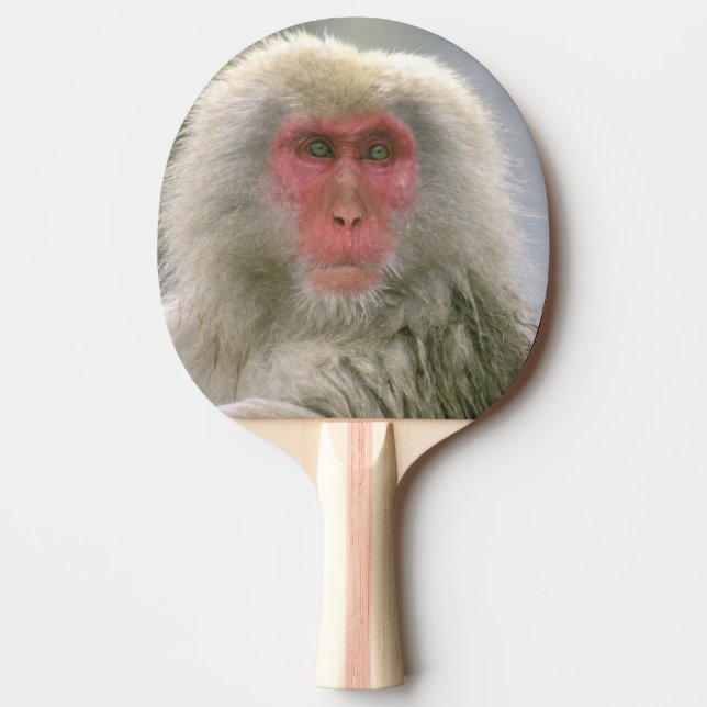Snow Monkey Couple, Japanese Macaque, Ping-Pong Paddle (Front)