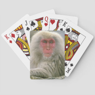 Snow Monkey Couple, Japanese Macaque, Poker Cards
