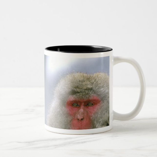 Snow Monkey Couple, Japanese Macaque, Two-Tone Coffee Mug (Right)