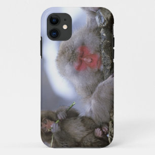 Snow Monkey Mother & Child, Jigokudani, Nagano, iPhone 11 Case