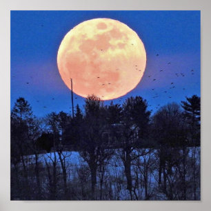 Snow Moon 2017 Poster