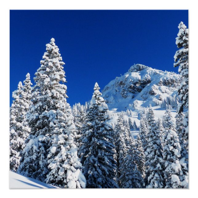 Snow mountain poster (Front)