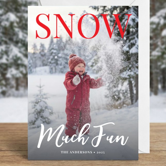 snow much fun winter snowflake photo snow holiday card (Creator Uploaded)