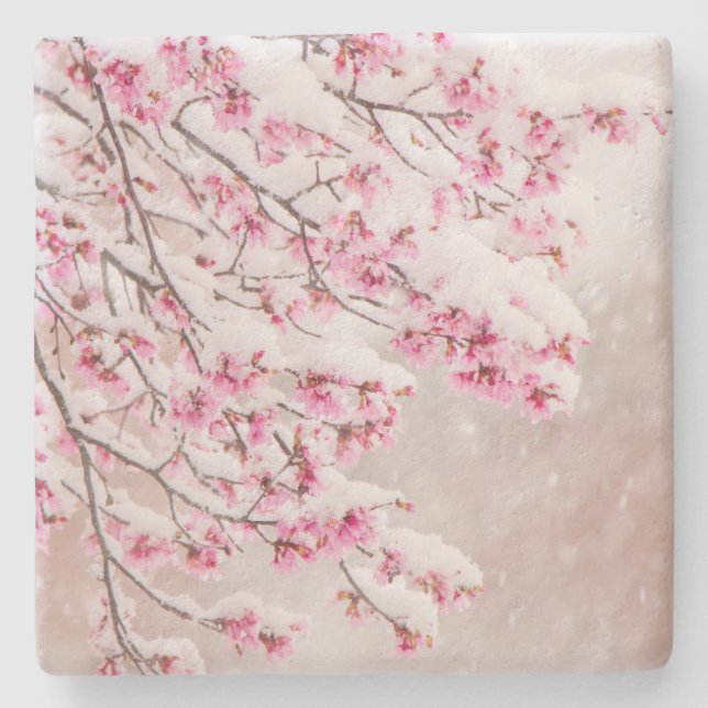 Snow on Cherry Blossoms 4" x 4" Limestone Coaster (Front)