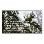 Snow on Evergreen Branches Business Card Magnet