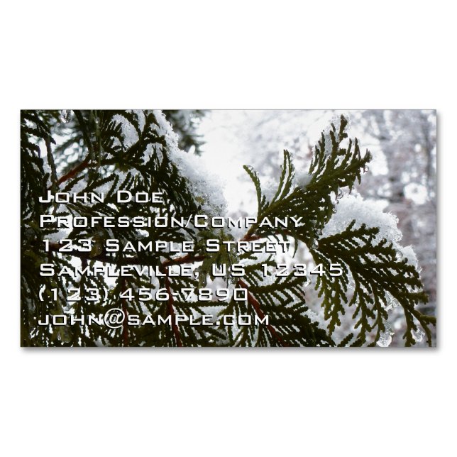 Snow on Evergreen Branches Business Card Magnet (Front)