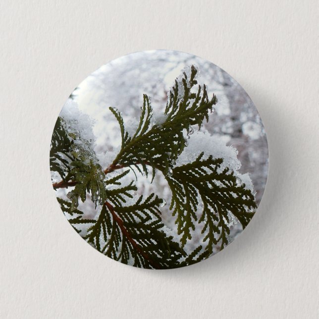 Snow on Evergreen Branches Button (Front)