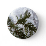 Snow on Evergreen Branches Button