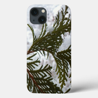 Snow on Evergreen Branches iPhone 13 Case