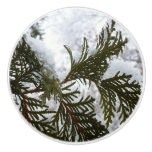 Snow on Evergreen Branches Ceramic Knob