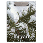Snow on Evergreen Branches Clipboard