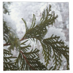 Snow on Evergreen Branches Cloth Napkin