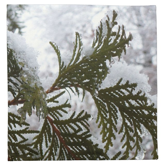 Snow on Evergreen Branches Cloth Napkin (Front)