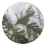 Snow on Evergreen Branches Eraser