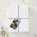Snow on Evergreen Branches Gift Tags
