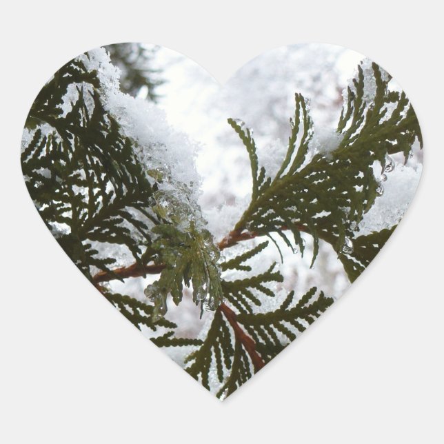 Snow on Evergreen Branches Heart Sticker (Front)