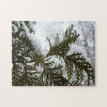 Snow on Evergreen Branches Jigsaw Puzzle