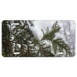 Snow on Evergreen Branches License Plate