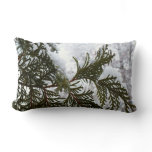 Snow on Evergreen Branches Lumbar Pillow