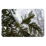 Snow on Evergreen Branches Magnet