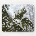 Snow on Evergreen Branches Mouse Pad