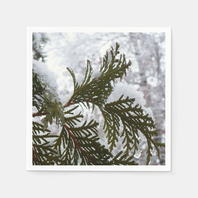 Snow on Evergreen Branches Napkins (Front)