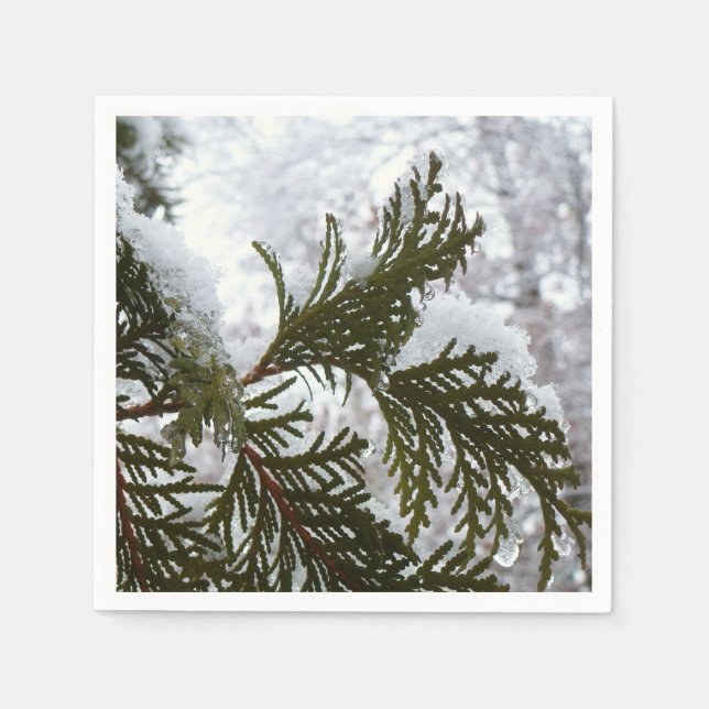 Snow on Evergreen Branches Napkins (Front)
