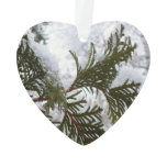 Snow on Evergreen Branches Ornament