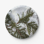 Snow on Evergreen Branches Paper Plates