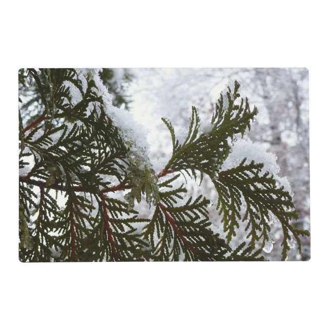 Snow on Evergreen Branches Placemat (Front)