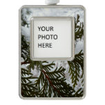 Snow on Evergreen Branches Silver Plated Framed Ornament