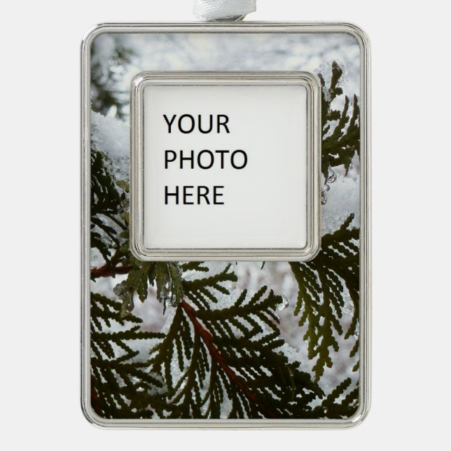 Snow on Evergreen Branches Silver Plated Framed Ornament (Front)