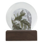 Snow on Evergreen Branches Snow Globe