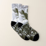 Snow on Evergreen Branches Socks