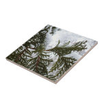 Snow on Evergreen Branches Tile