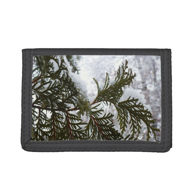 Snow on Evergreen Branches Tri-fold Wallet (Front)