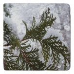 Snow on Evergreen Branches Trivet
