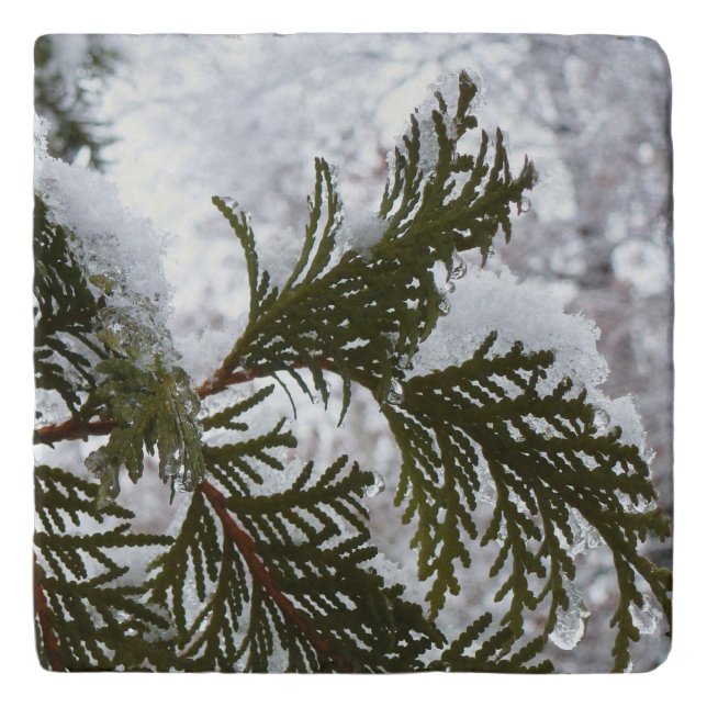Snow on Evergreen Branches Trivet (Front)