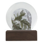 Snow on Evergreen Branches Winter Nature Photo Snow Globe