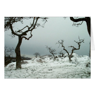 Snow on Garry Oak Meadow Cards
