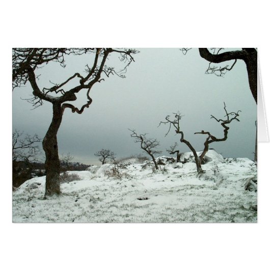 Snow on Garry Oak Meadow Cards (Front Horizontal)