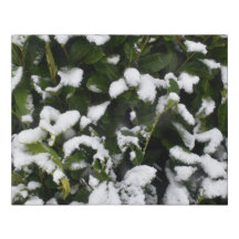 Snow on Green Leaves Faux Wrapped Canvas Small