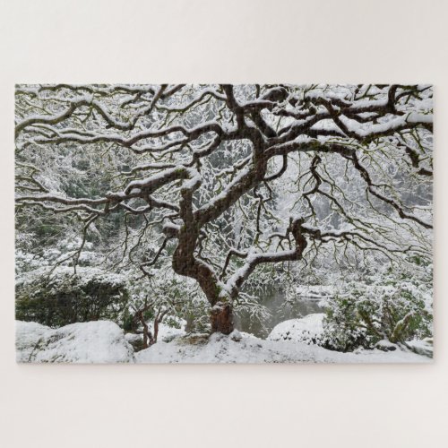 Snow on Laceleaf Maple at Portland Japanese Garden Jigsaw Puzzle